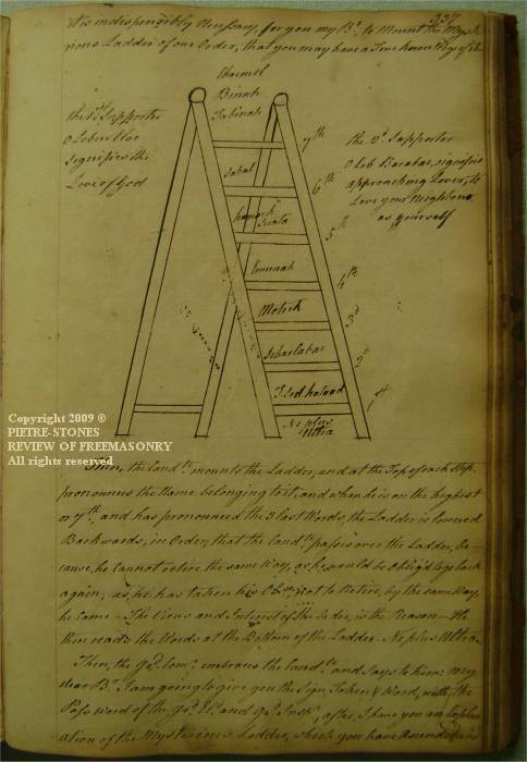 the ladder