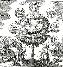 Figure 1: Early Hermetic Tree, from the Musaeum Hermeticum, Frankfurt edition, 1749