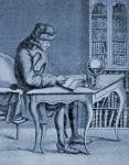 voltaire writing